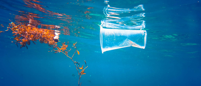thumb-fernando-de-noronha-proibe-o-uso-de-plastico-e-isopor thumb-fernando-de-noronha-proibe-o-uso-de-plastico-e-isopor