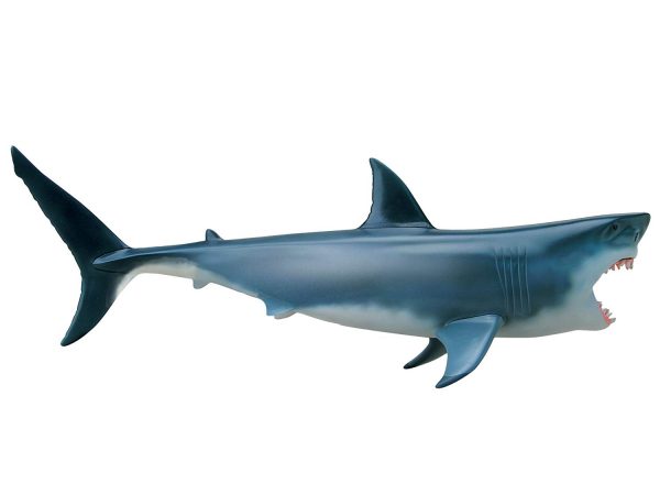 Tubarão branco em miniatura, anatomia 3D desmontável