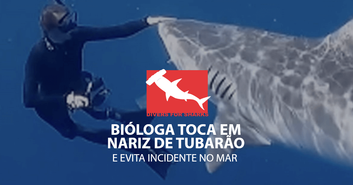 Toca Do Tubarão