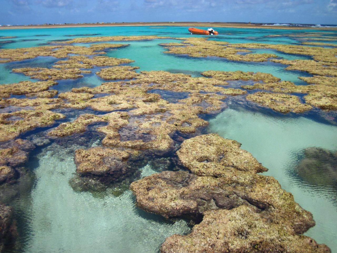 Foto PELD ILOC https://peldiloc.sites.ufsc.br/pt/expedition/atol-das-rocas-2/