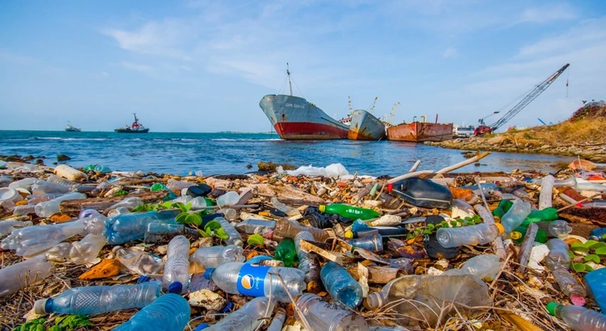 Suicídio por plástico - foto https://www.rtp.pt/noticias/mundo/ecocidio-proposto-para-sancionar-crimes-ambientais_n1334129