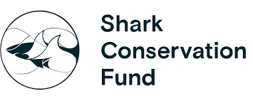 Shark Conservation Fund