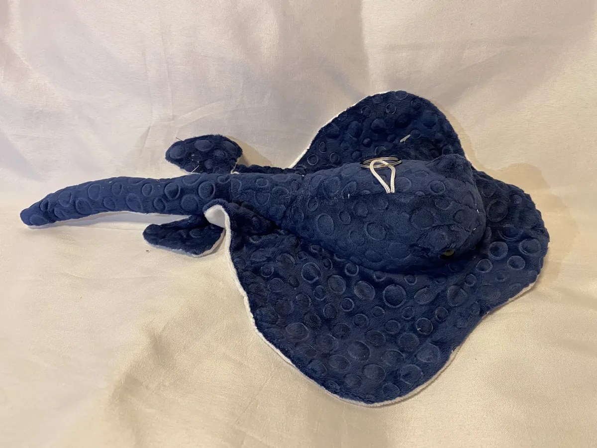 Arraial de pelúcia 30 cm Azul