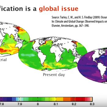 Fonte: Hypotheses https://globalherit.hypotheses.org/4385