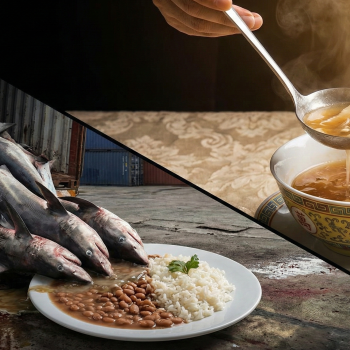 Despejo de carne de tubarão: Eles ficam com o Ouro e entregam Lixo