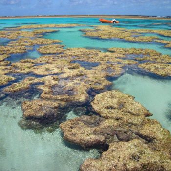 Foto PELD ILOC https://peldiloc.sites.ufsc.br/pt/expedition/atol-das-rocas-2/