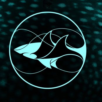 Shark Conservation Fund