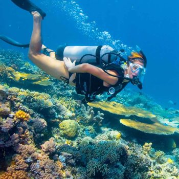 imagem-destacada-branqueamento-ameaca-corais-da-australia