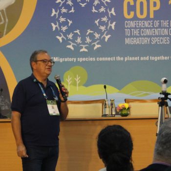 imagem-destacada-convencao-para-a-conservacao-das-especies-migratorias-na-visao-de-jose-truda-palazzo