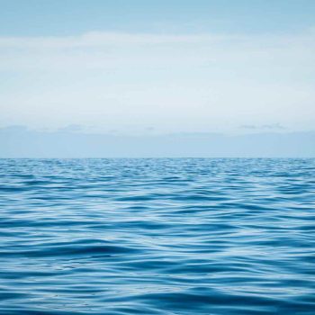 imagem-destacada-em-pt-es-finally-the-un-ocean-conference-will-take-place