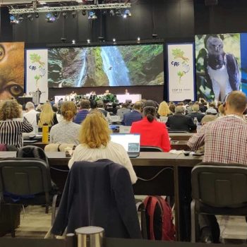 imagem-destacada-en-pt-es-cites-protege-mais-de-50-tubaroes-de-uma-vez-so-pela-primeira-vez