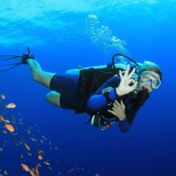 imagem-destacada-en-pt-es-divers-for-sharks-e-citada-em-tcc-sobre-turismo-subaquatico