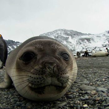 imagem-destacada-entenda-o-que-e-o-dia-da-sobrecarga-da-terra