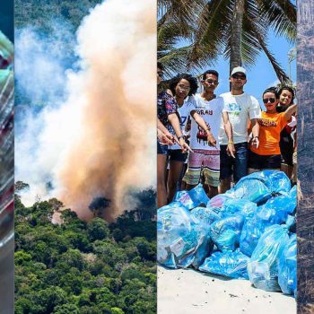 imagem-destacada-greenpeace-cinco-videos-retratam-os-principais-problemas-do-mundo