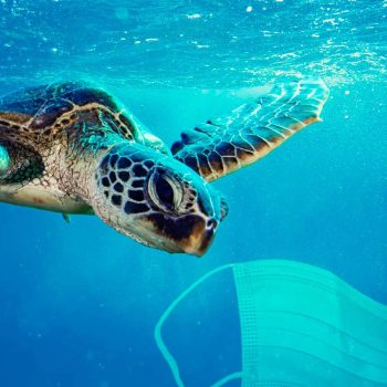 imagem-destacada-mascaras-e-luvas-descartaveis-poluem-as-praias-do-rio