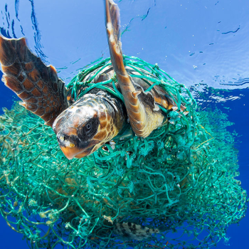 imagem-destacada-o-dia-em-que-descobriremos-que-somos-feitos-de-plastico