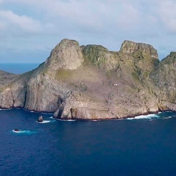 imagem-destacada-paraiso-dos-tubaroes-martelo-e-o-tema-da-proxima-live-da-d4s