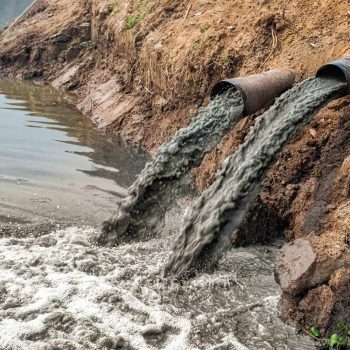 imagem-destacada-pt-tubarao-contem-veneno-mercurio