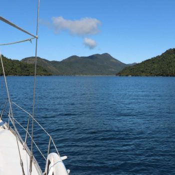 imagem-destacada-pt-tubaroes-da-baia-da-ilha-grande