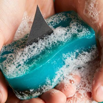 imagem-destacada-tubaroes-estao-funcionalmente-extintos-em-20-dos-recifes-aponta-pesquisa