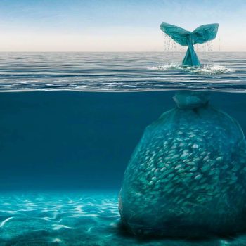 imagem-destacada-voluntarios-lutam-contra-os-residuos-no-mar-da-indonesia