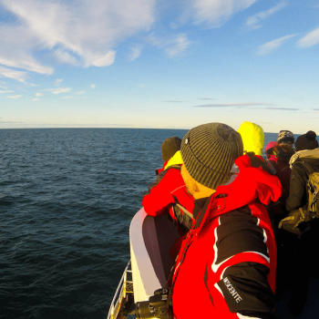 imagem-destcada-oxtur-turismo-lembra-da-importancia-da-divers-for-sharks-para-o-desenvolvimento-da-area