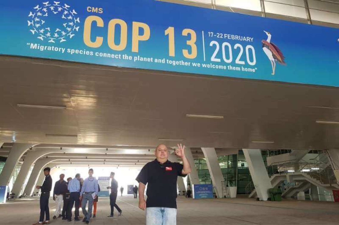 thumb-cop13-2020