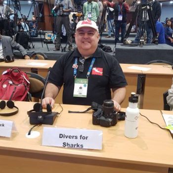 Pingüim batendo ponto na COP e defendendo tubarões