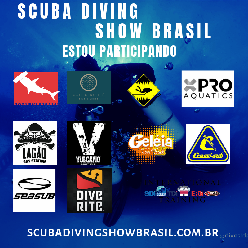 thumb-diver-for-sharks-fara-um-mergulho-em-brasilia-foto-002